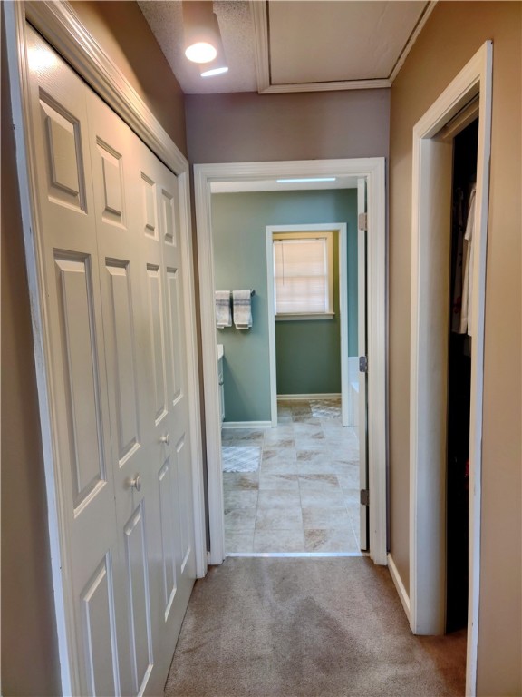 205 Catawbah Road Clemson, SC 29631 - Photo 34 of 50 Gallery Image 34