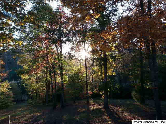 11452 Turner Bridge Road Tuscaloosa, AL 35406 - Photo 23 of 32