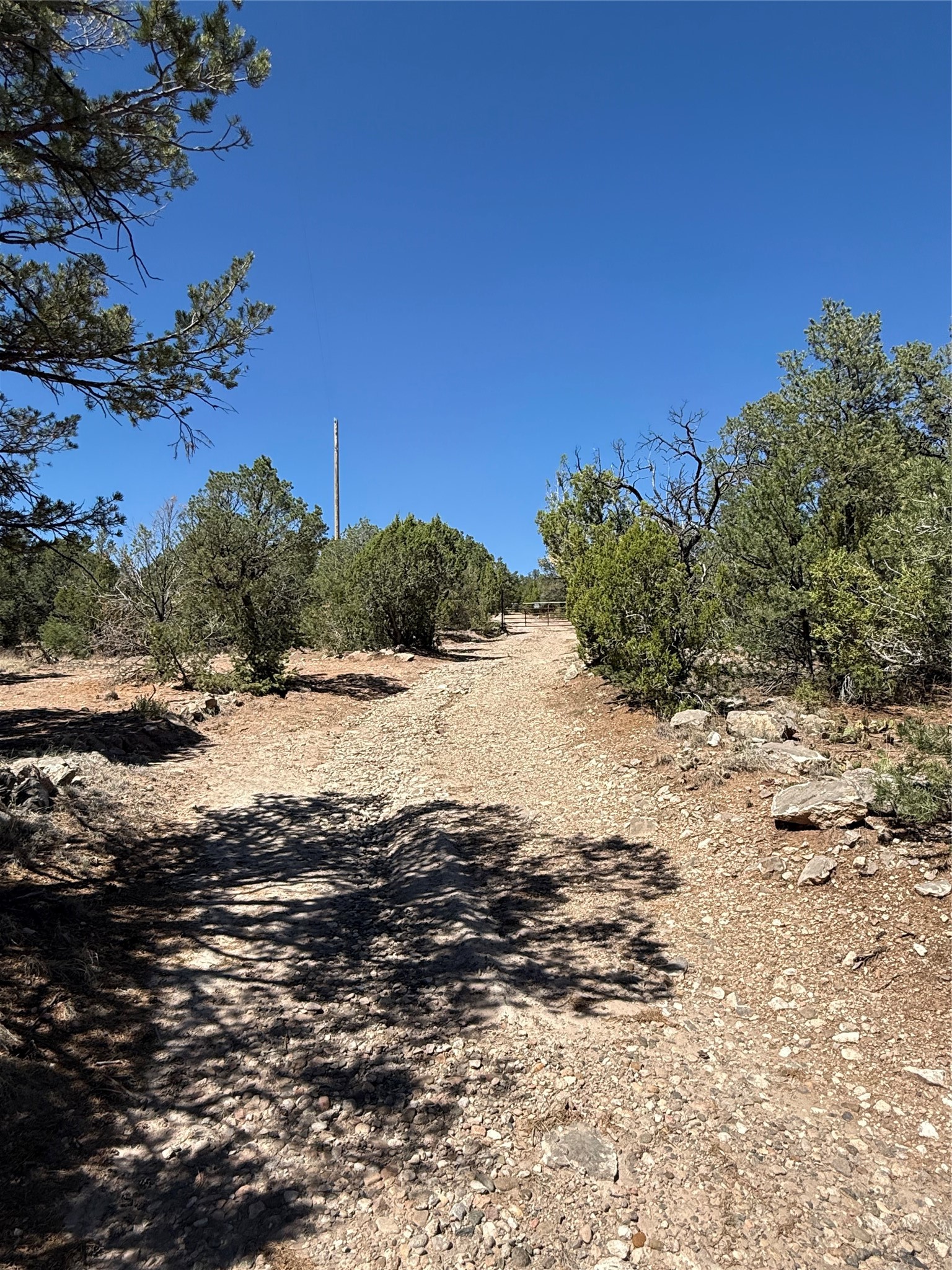 174 Hidden Valley Ranch Road Ilfeld, NM 87538 - Photo 20 of 30