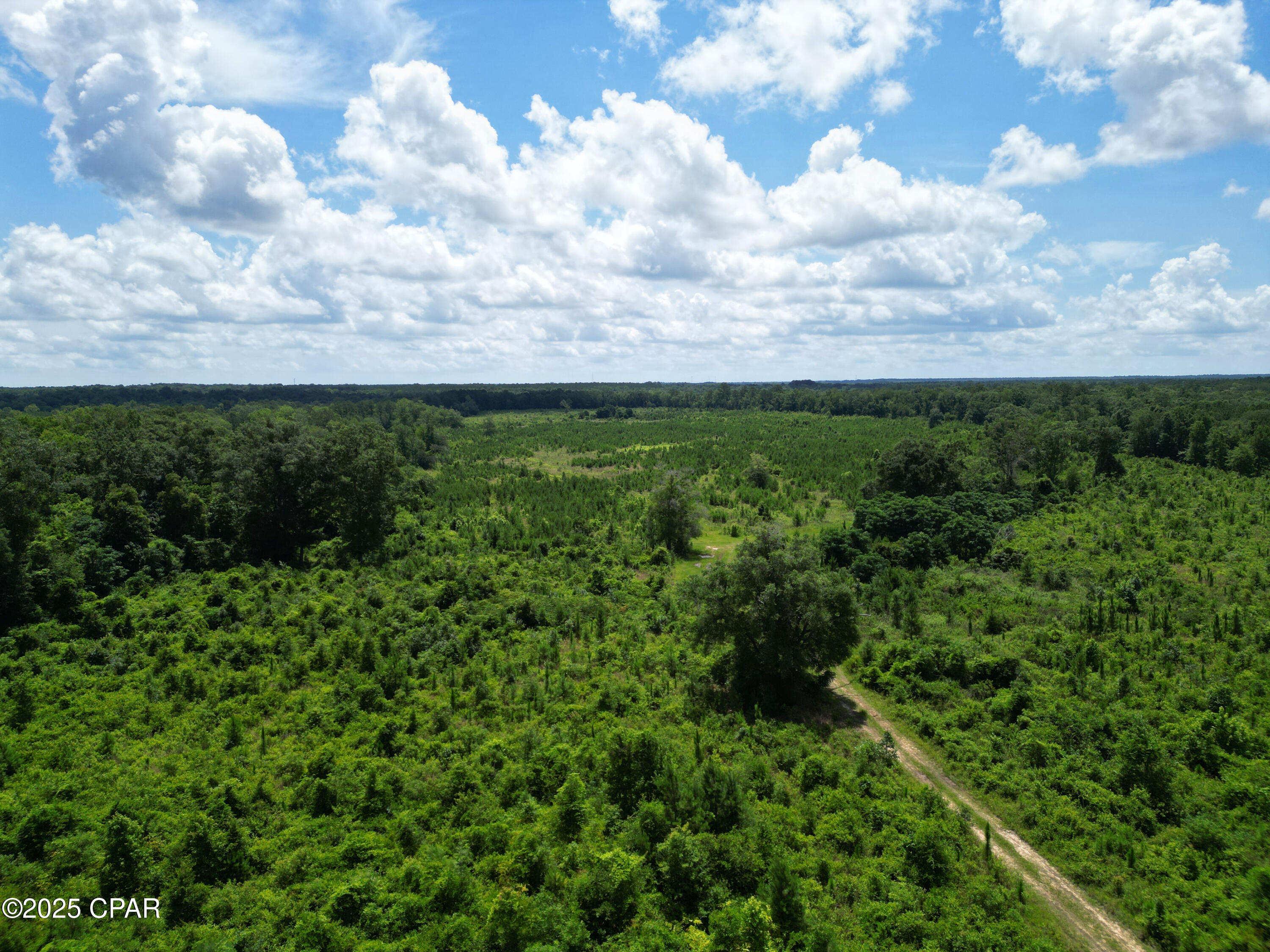 1 Eddie Blake Road Quincy, FL 32351 - Photo 6 of 7 Gallery Image 6