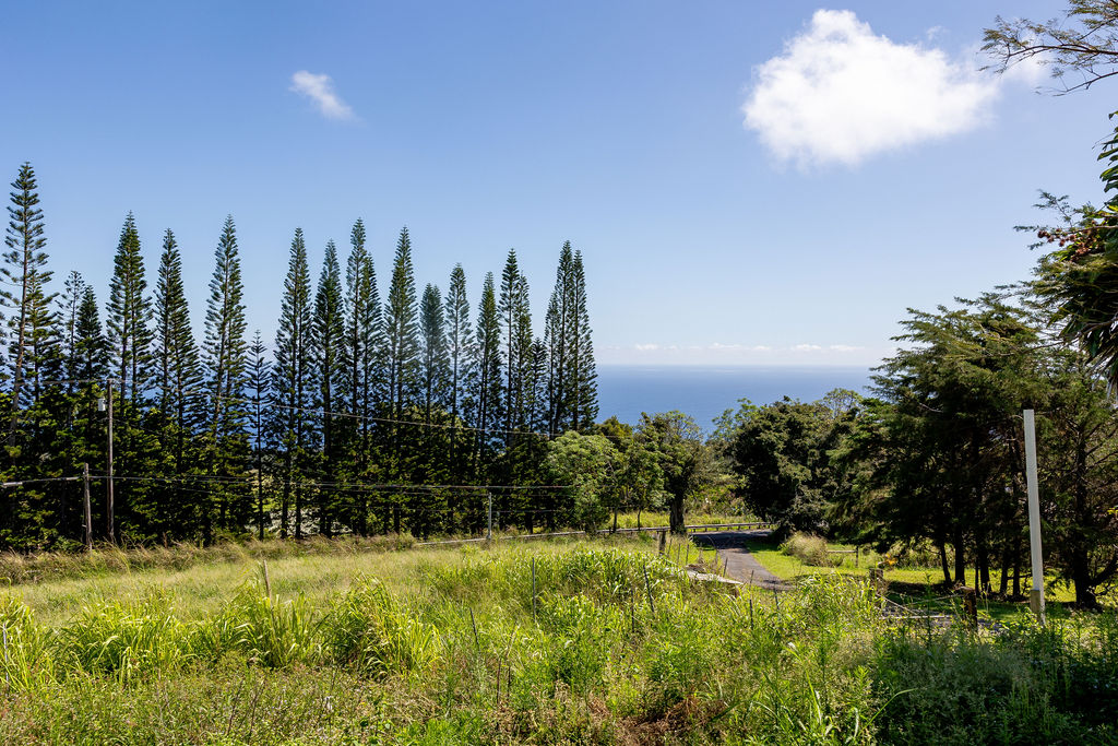 44-2527 Kalopa Mauka Road Honokaa, HI 96727 - Photo 3 of 29
