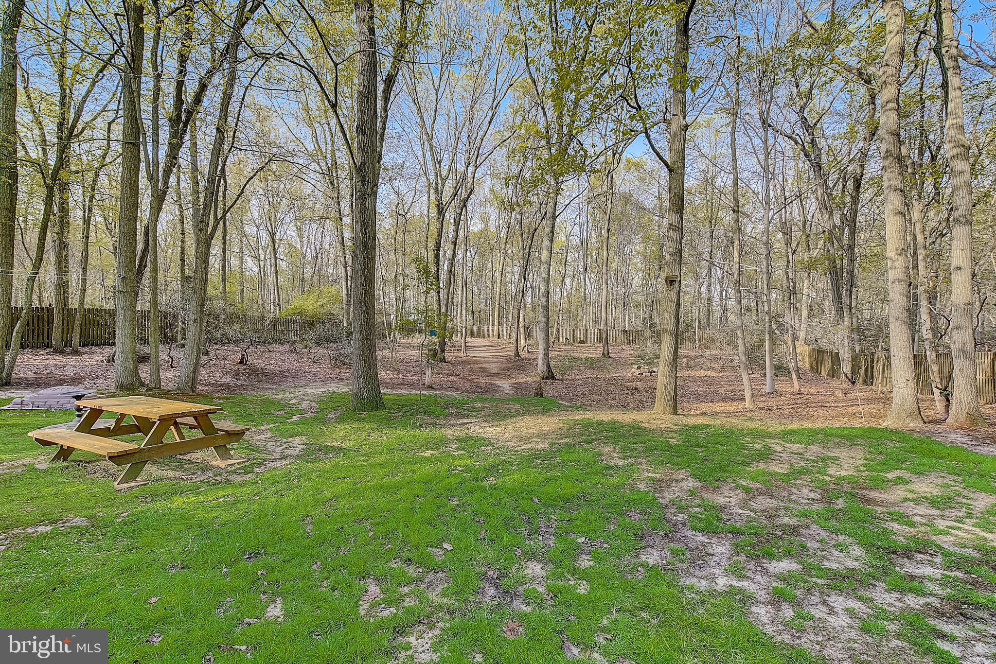 147 Cedar Road Mullica Hill, NJ 08062 - Photo 41 of 43