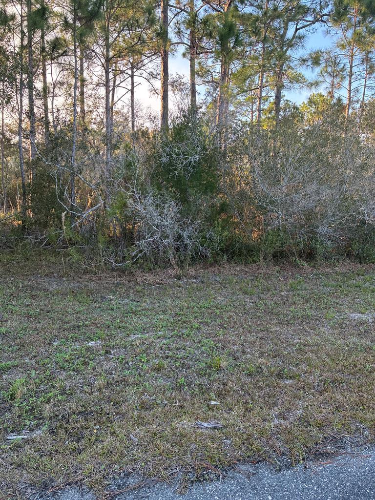 Lot 78 Surf Road Panacea, FL 32346 - Photo 2 of 30