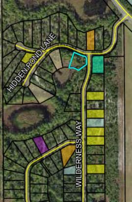 Lot 78 Surf Road Panacea, FL 32346 - Photo 29 of 30