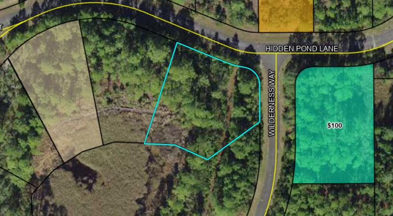 Lot 78 Surf Road Panacea, FL 32346 - Photo 30 of 30
