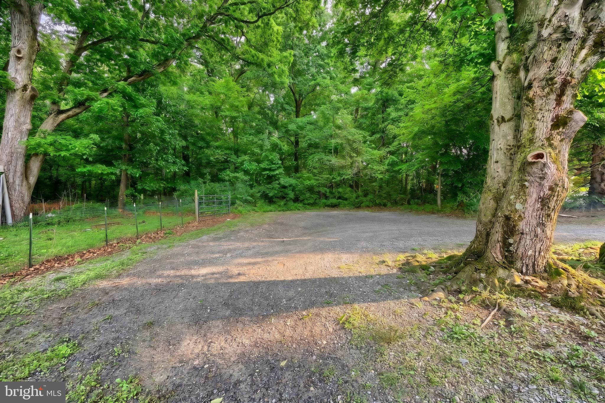 1111 Richmond Road Red Lion, PA 17356 - Photo 7 of 57 a view of a yard with tree s