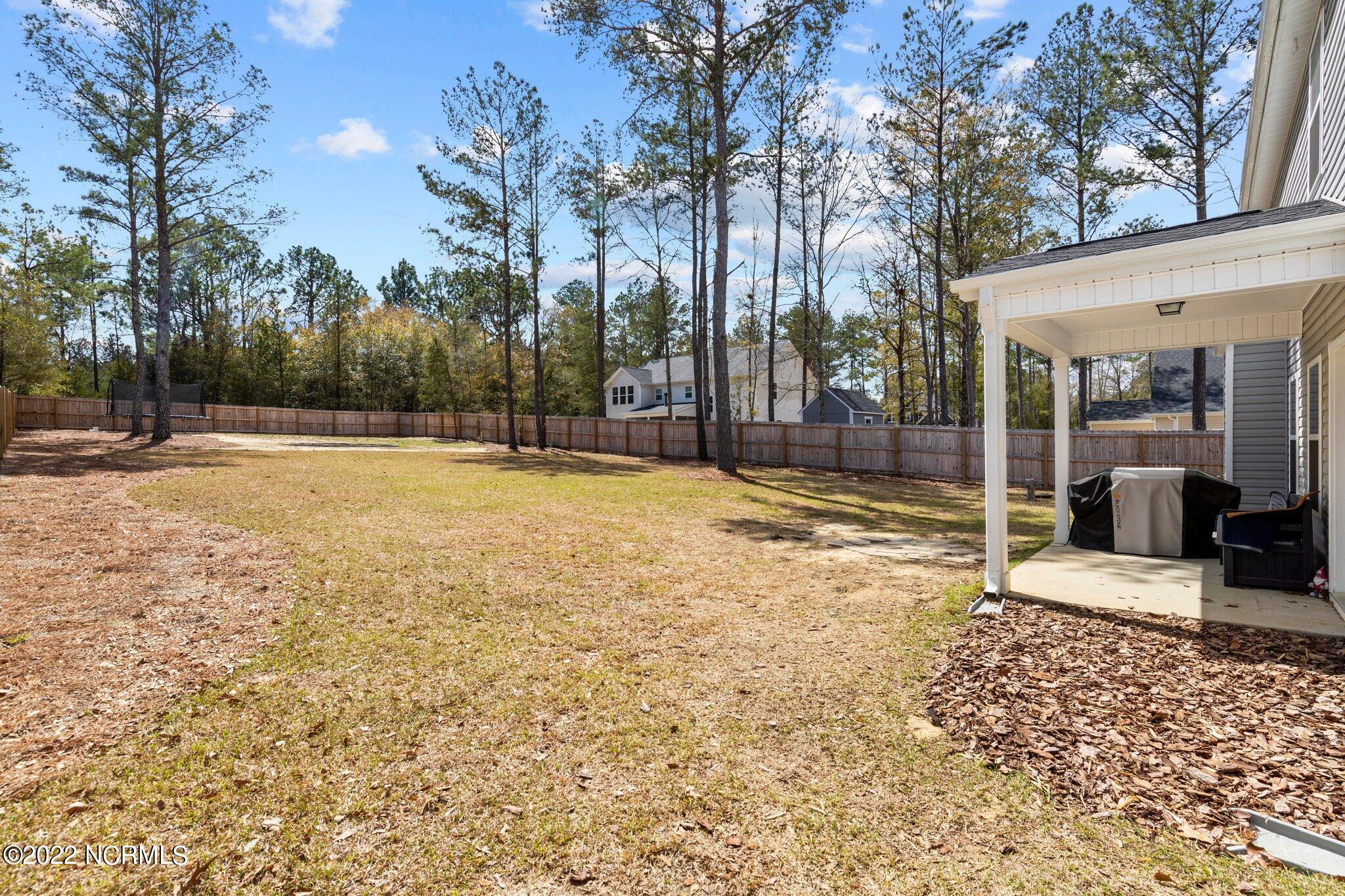 424 Mountain Run Road West End, NC 27376 - Photo 28 of 29 14-web-or-mls-IMG_0338