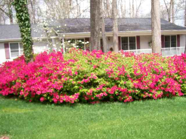 200 Quail Run Trail Fountain Inn, SC 29644 - Photo 22 of 24 Gallery Image 22