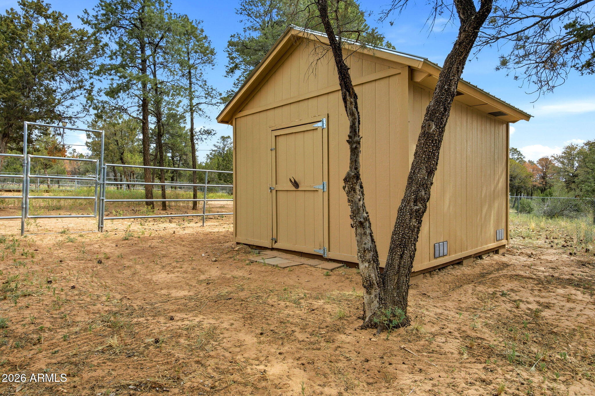 3072 Chevelon Road Overgaard, AZ 85933 - Photo 36 of 51 SHED ON THE PROPERTY