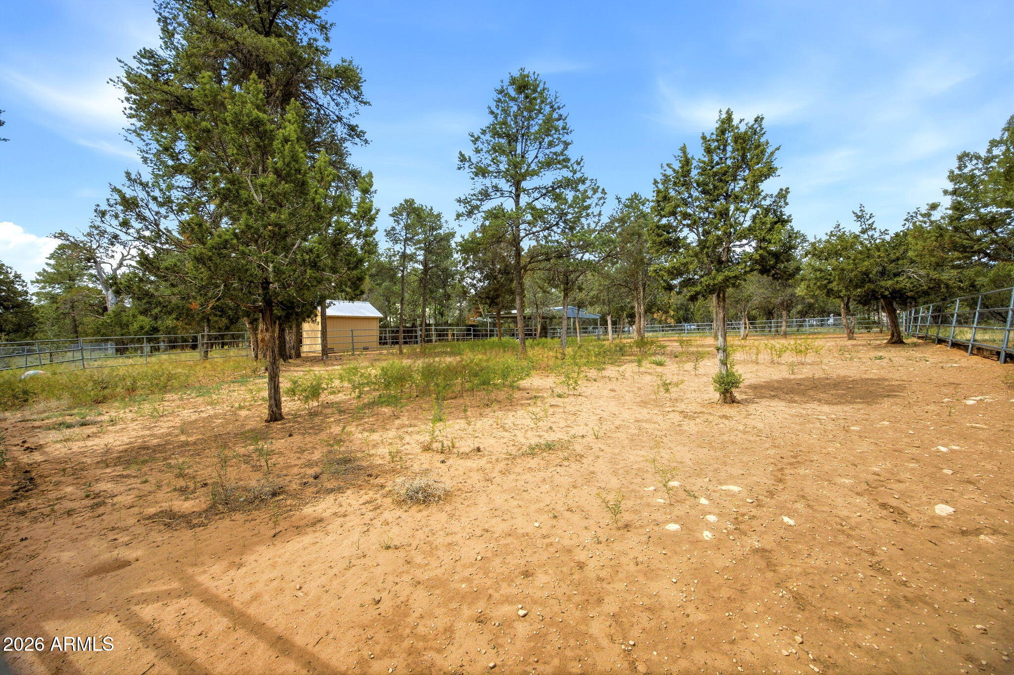 3072 Chevelon Road Overgaard, AZ 85933 - Photo 38 of 51 THE PROPERTY