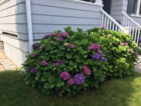 30 Pond Street Marblehead, MA 01945 - Photo 28 of 31