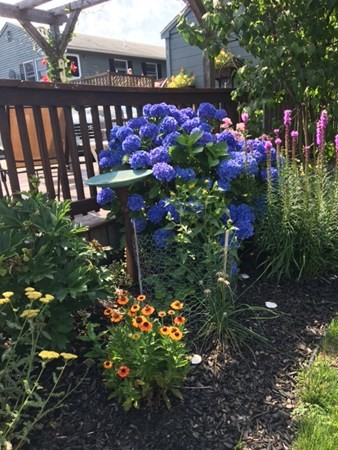 30 Pond Street Marblehead, MA 01945 - Photo 29 of 31