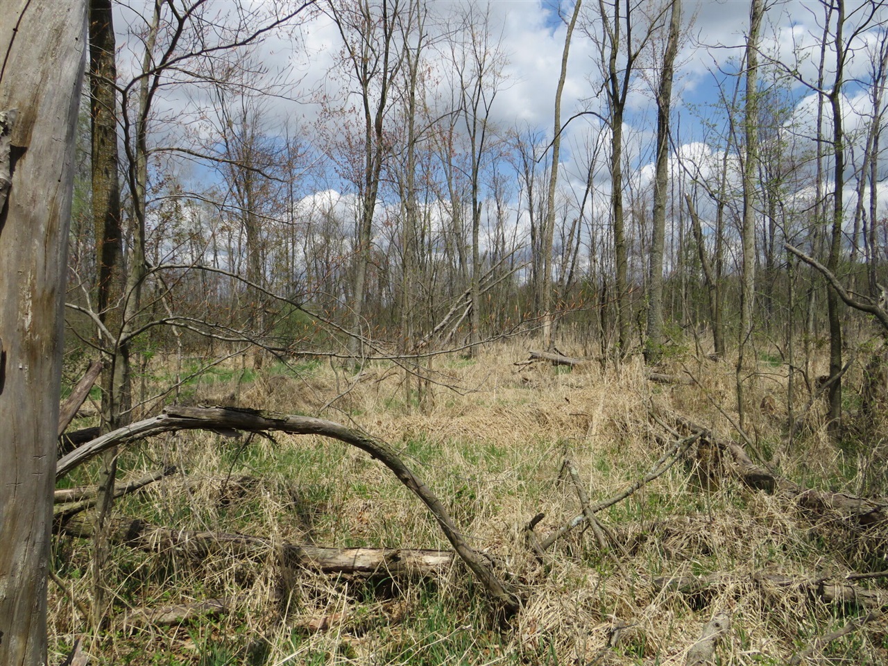 Peoples Road Blanchard, MI 49310 - Photo 20 of 26