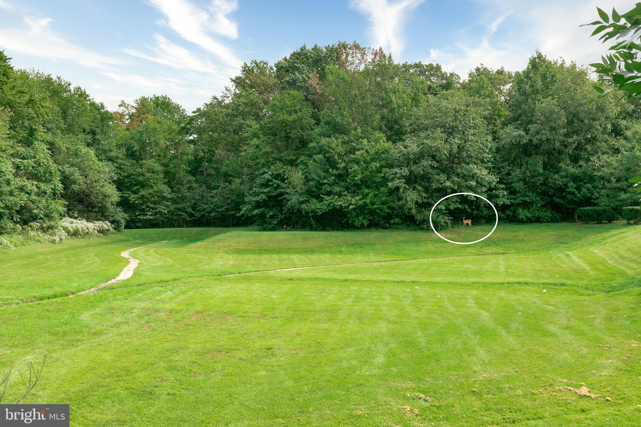 149 Castleton Road Delran, NJ 08075 - Photo 35 of 35