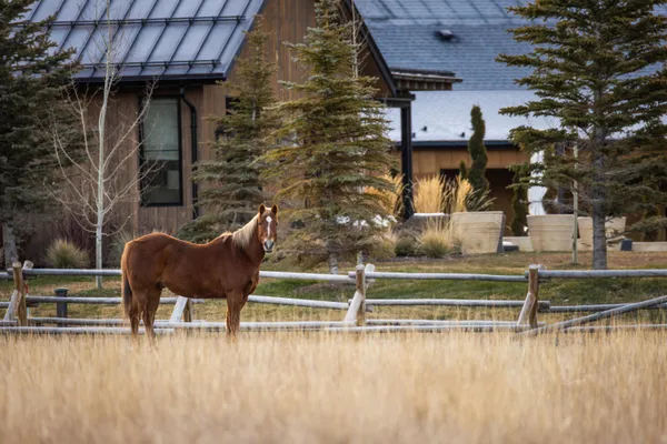 $25,000,000 | 708 East Fork Road, Blaine County, ID 83333