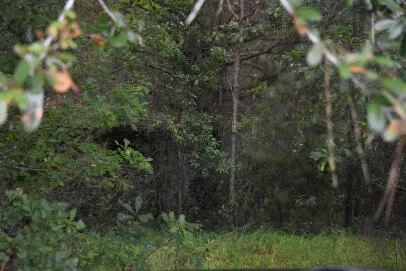 $25,000 | 80 Thompson Road, Hemingway, SC 29554