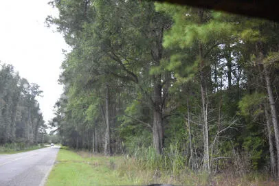 $25,000 | 80 Thompson Road, Hemingway, SC 29554