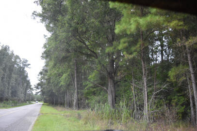 80 Thompson Road Hemingway, SC 29554 - Photo 2 of 3 DSC_0046