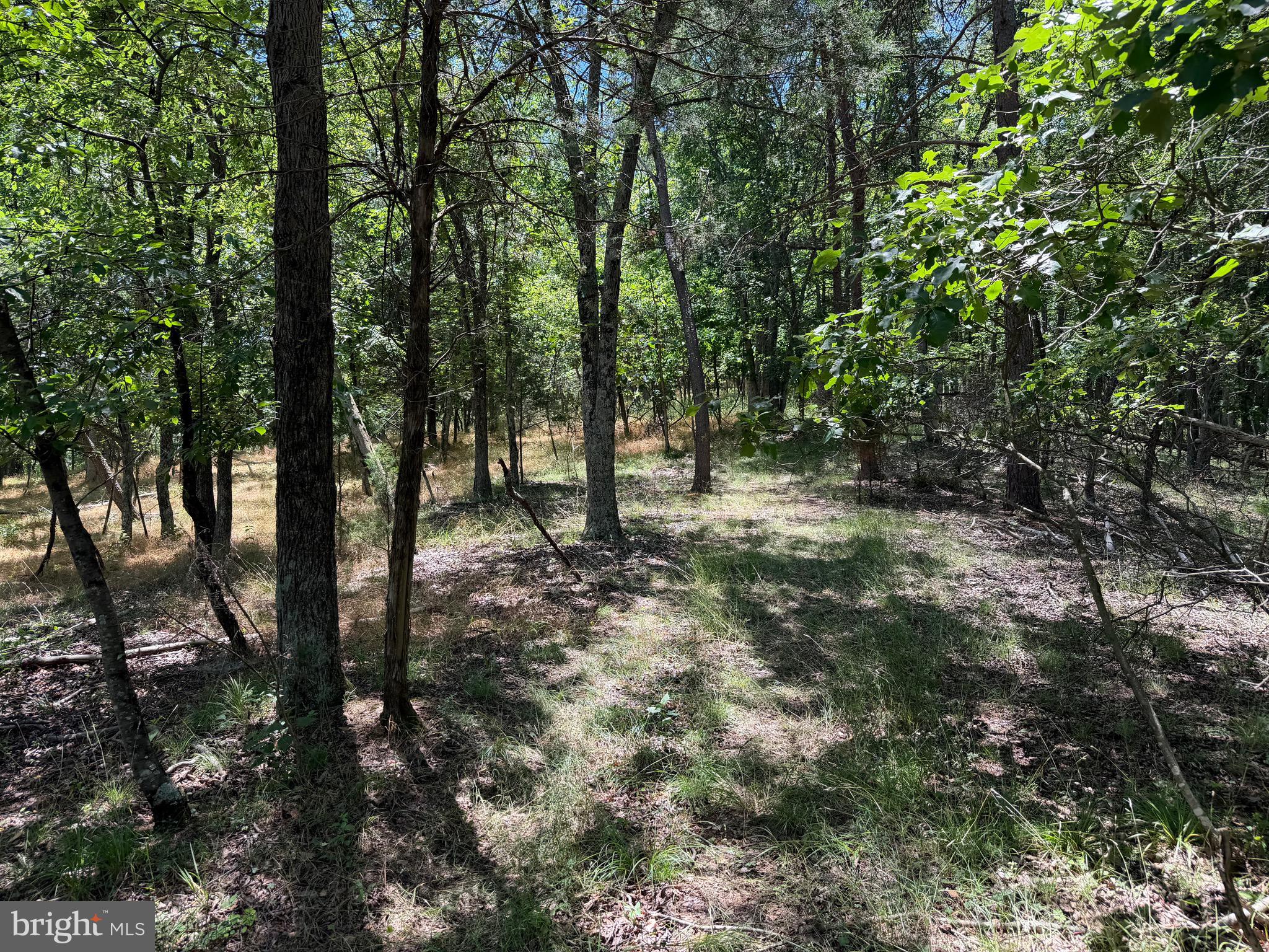 511 Chickadee Road Purgitsville, WV 26852 - Photo 42 of 99