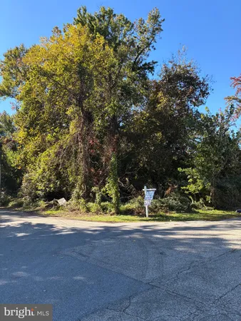 a view of yard with green space