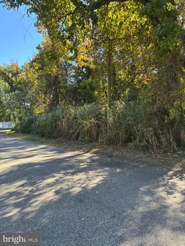 a view of a yard with large trees