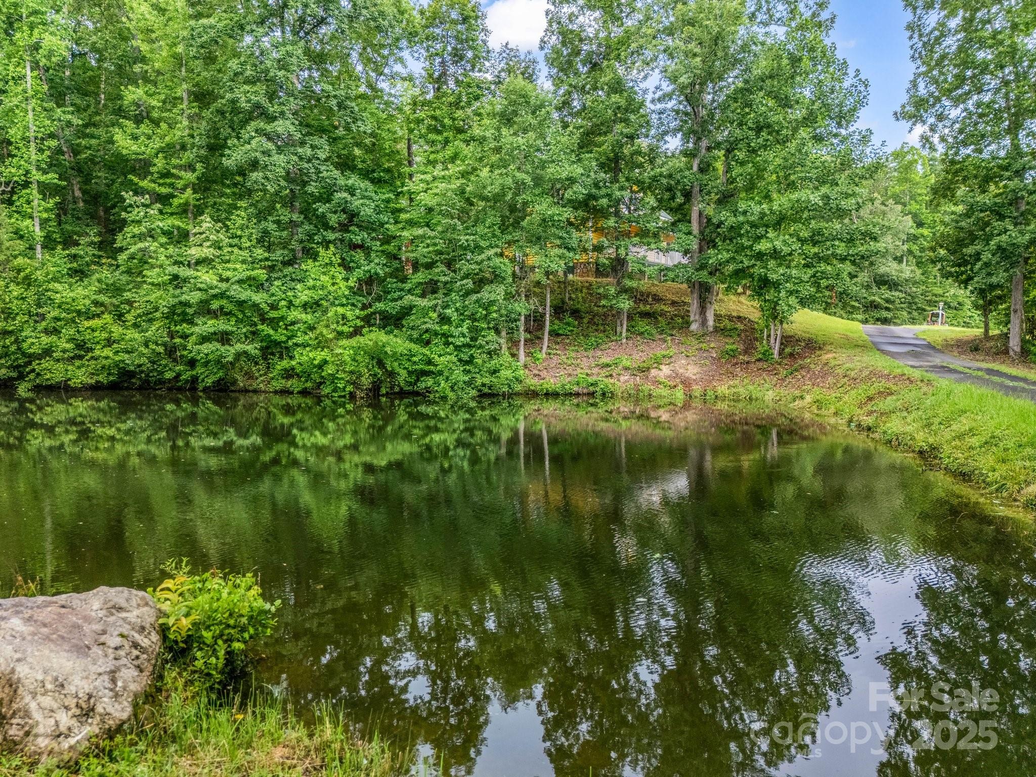 4086 Big Island Road Rutherfordton, NC 28139 - Photo 3 of 47