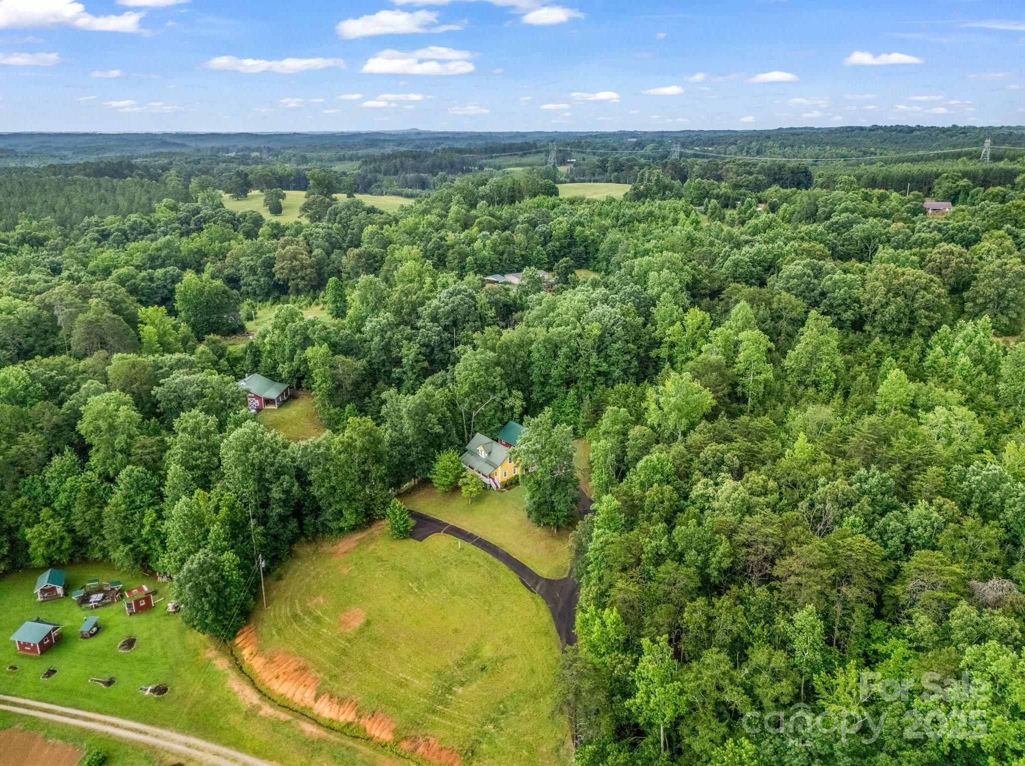 4086 Big Island Road Rutherfordton, NC 28139 - Photo 47 of 47 a view of a yard with plants