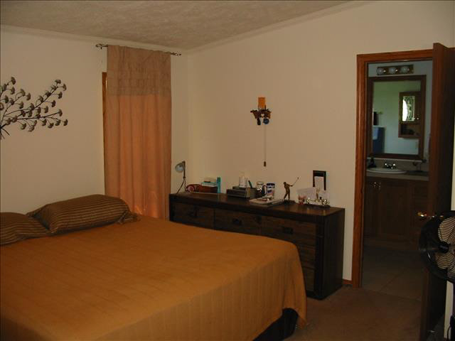 8860 West Albain Road Ida, MI 48140 - Photo 11 of 20 20412850-10.JPG