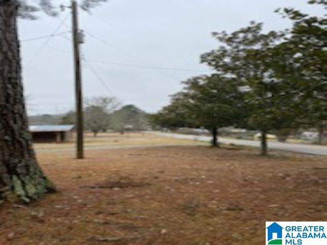 470 Fish Trap Road Cropwell, AL 35054 - Photo 37 of 37