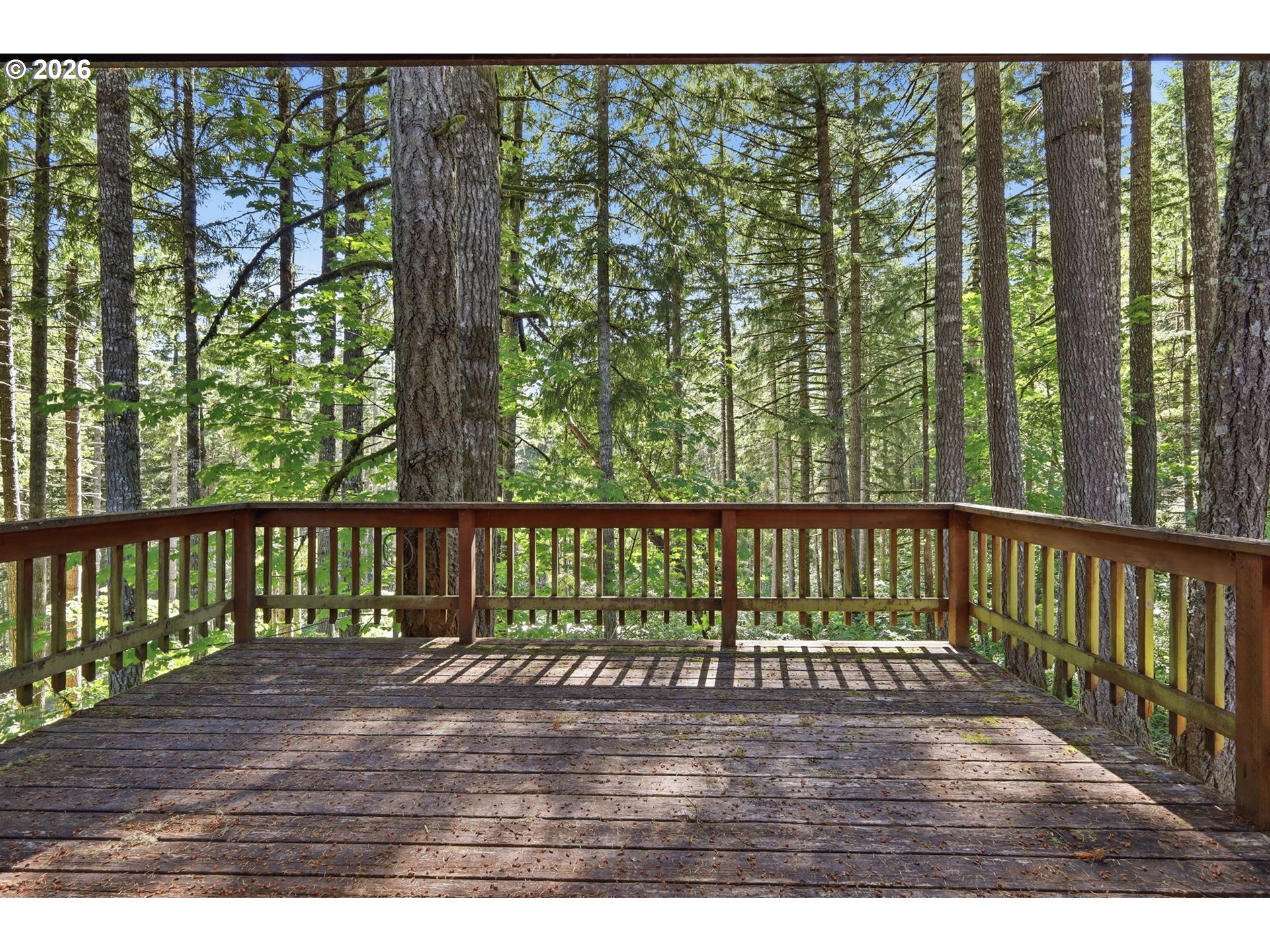 93156 Ewing Road Springfield, OR 97478 - Photo 41 of 47