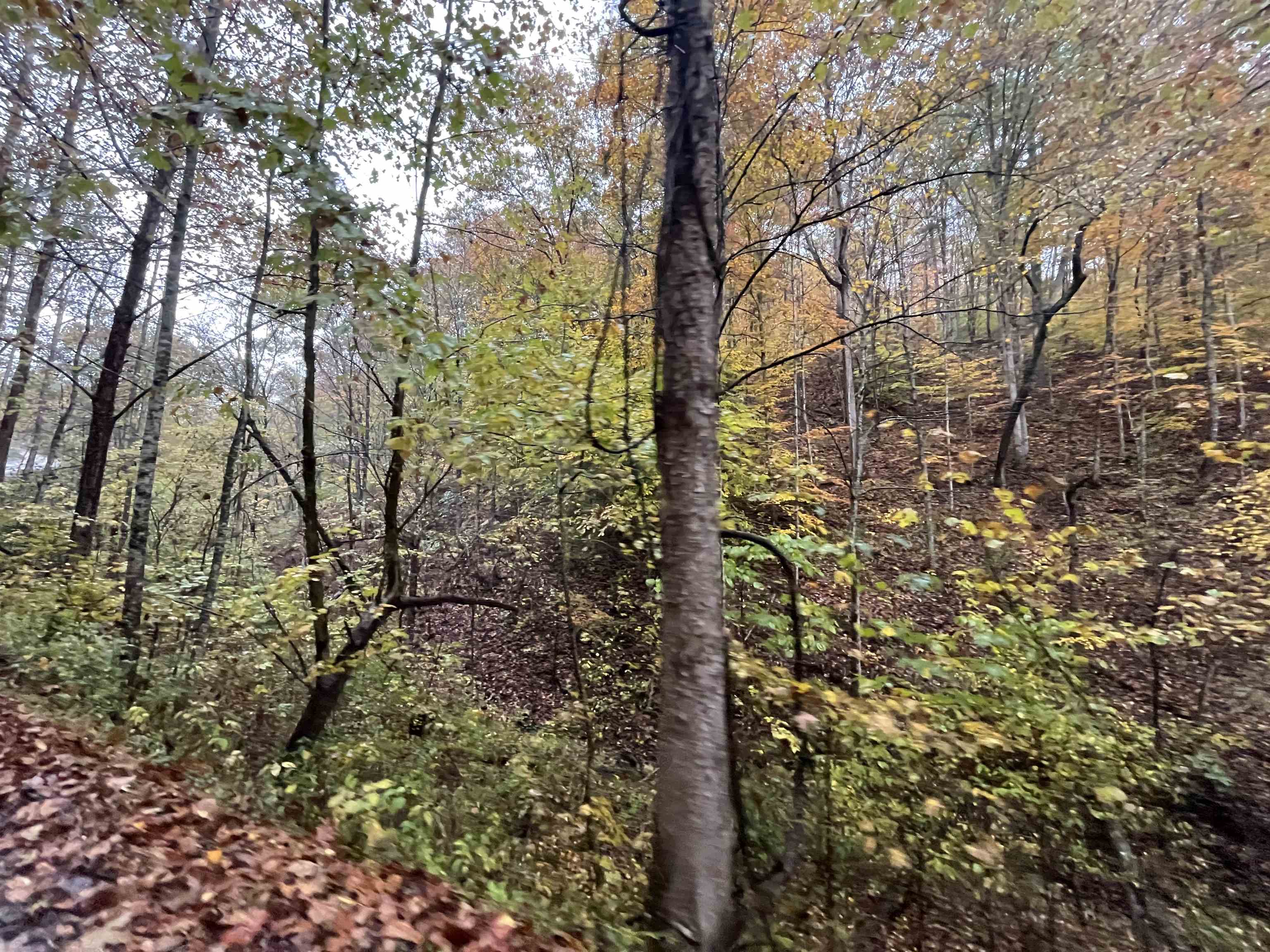 0 Sawpit Road Greenup, KY 41144 - Photo 5 of 8 Gallery Image 5