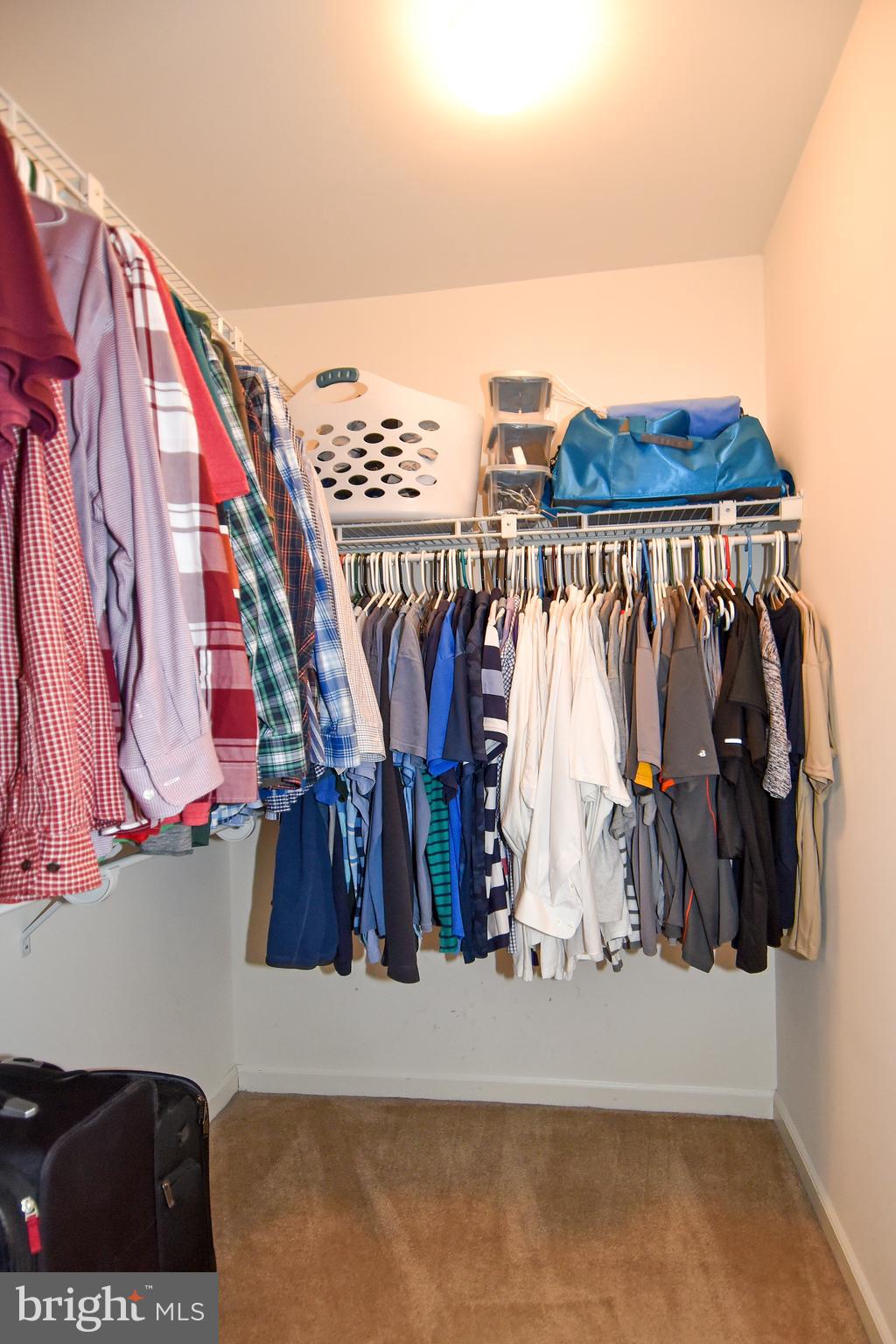 7836 Callington Way Hanover, MD 21076 - Photo 28 of 48 PRIMARY WALK-IN CLOSET 2