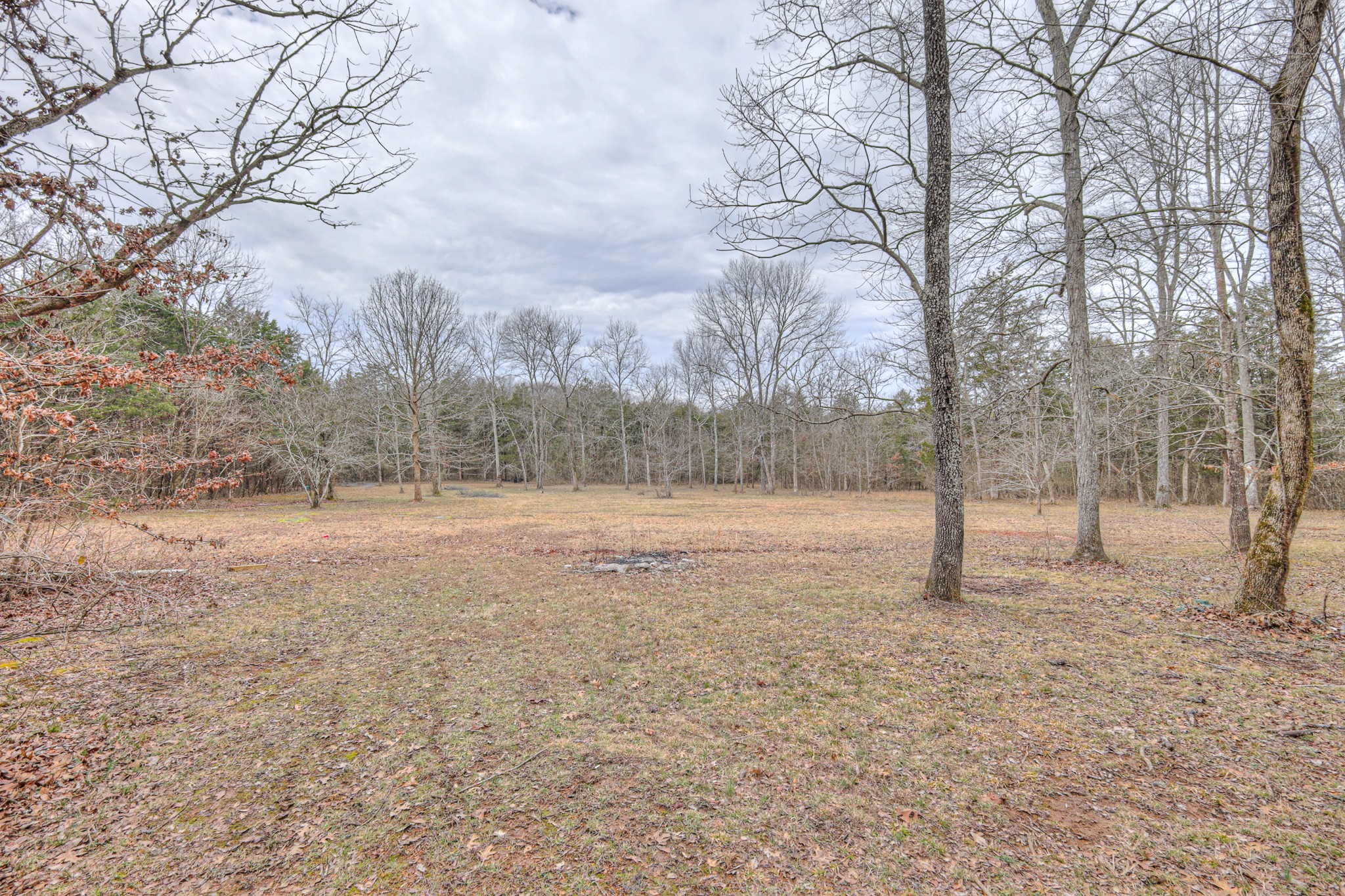 320 Ramsey Road Lebanon, TN 37087 - Photo 6 of 28 a view of a covered with snow in the yard
