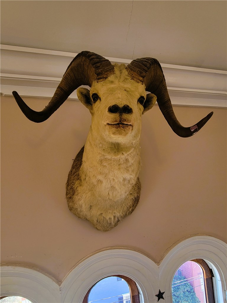 92 Pelham Street, Unit 3 Newport, RI 02840 - Photo 8 of 24