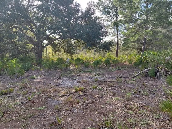 $25,000 | 4311 Gardenia Drive, Frostproof, FL 33843