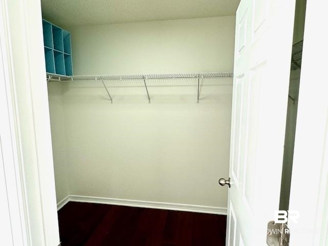 27948 Rileywood Drive Daphne, AL 36526 - Photo 15 of 22 View of walk in closet