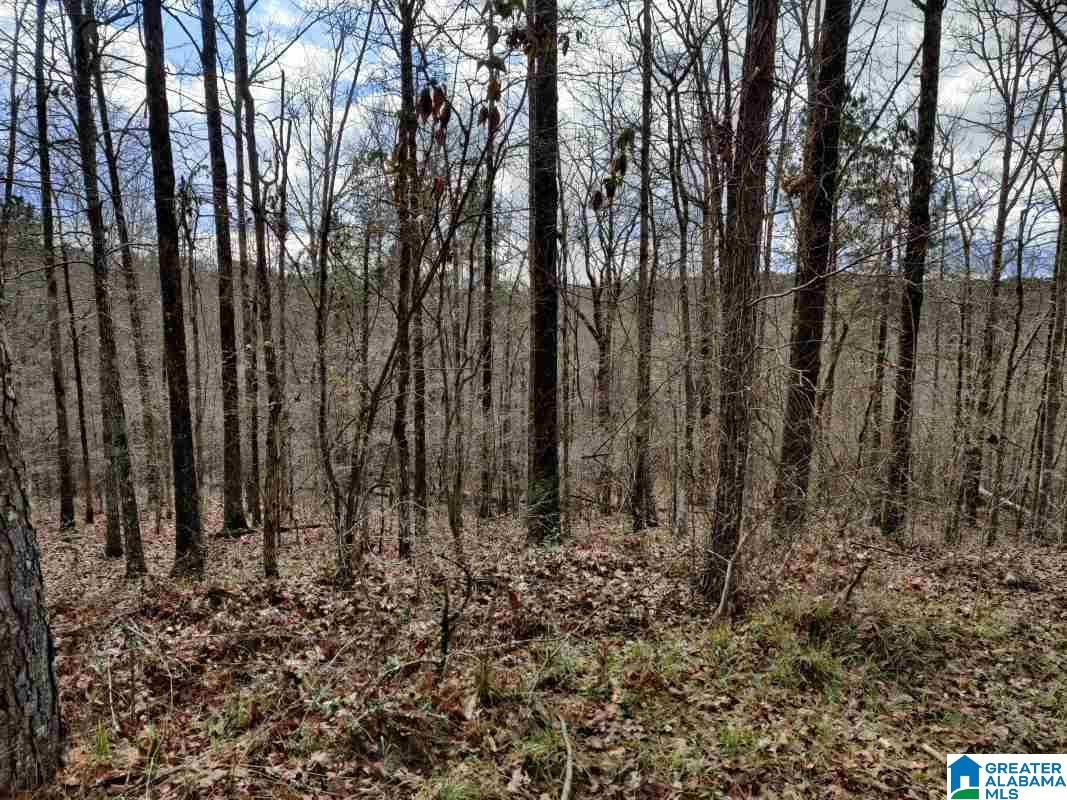 0 Daniel Drive, Unit 23 Trafford, AL 35172 - Photo 1 of 6