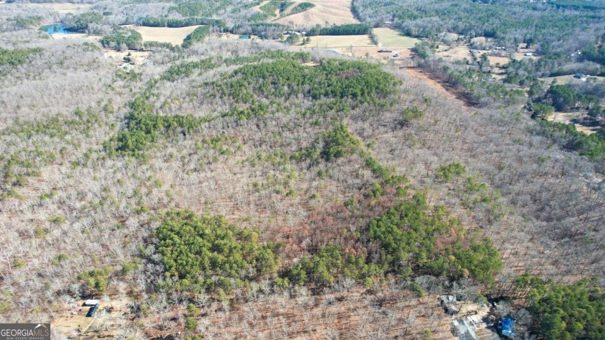 1 Bozeman Road White, GA 30184 - Photo 10 of 29