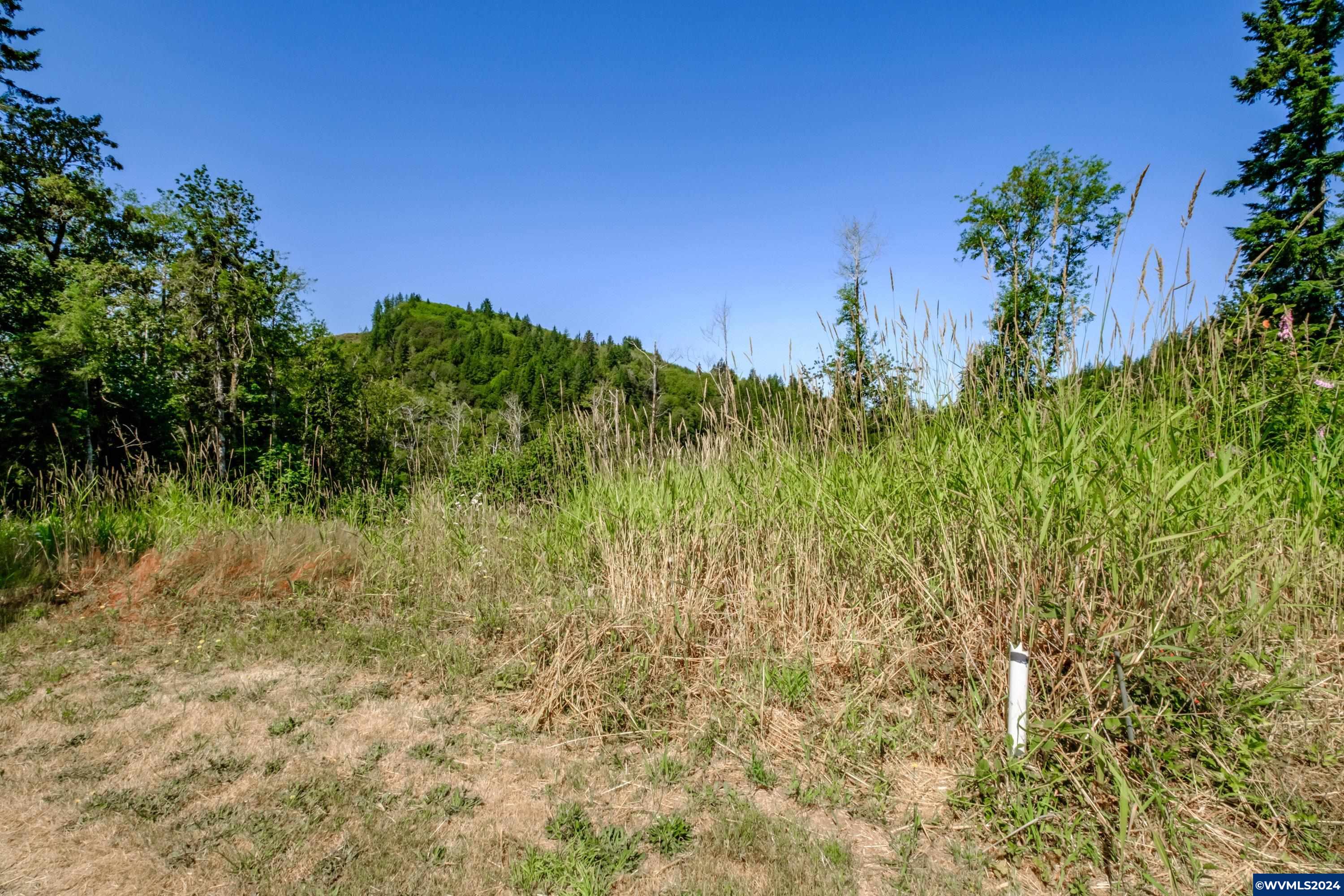 42756 Elsie Deer Road Seaside, OR 97138 - Photo 2 of 7 Gallery Image 2