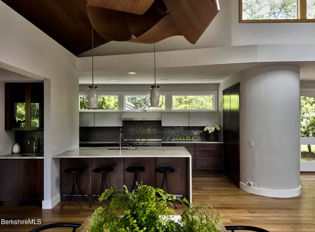 a view of a tree with a yard