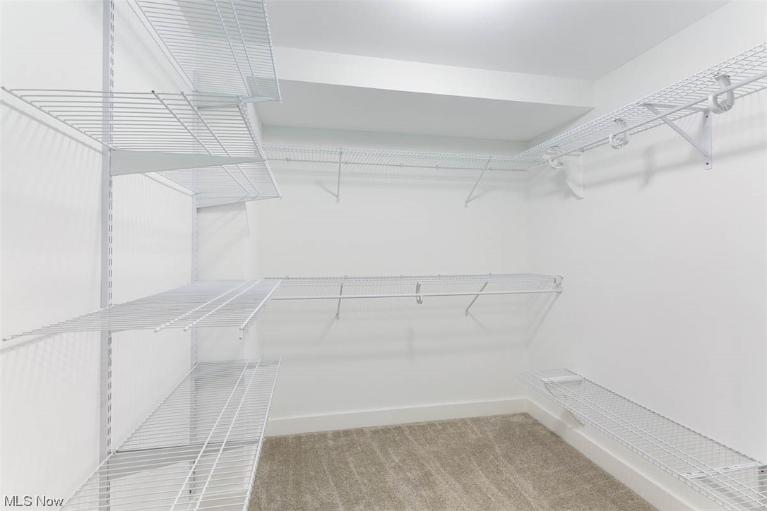 2905 Paxton Road Cleveland, OH 44120 - Photo 21 of 35 Primary suite walk-in closet