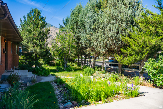 320 South 1100th Street East Springville, UT 84663 - Photo 7 of 52