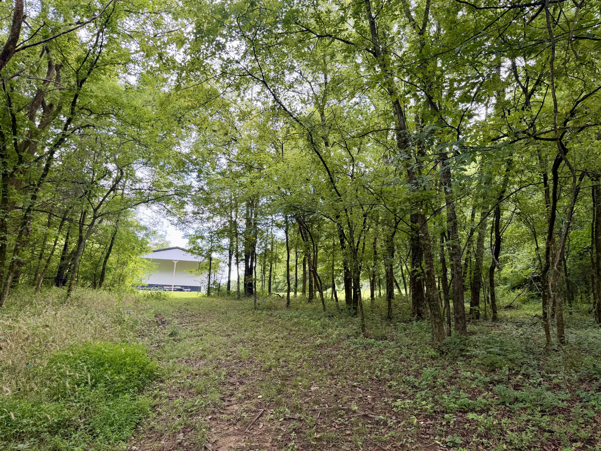 1755 Chicken Road Lebanon, TN 37090 - Photo 65 of 87 Gallery Image 65