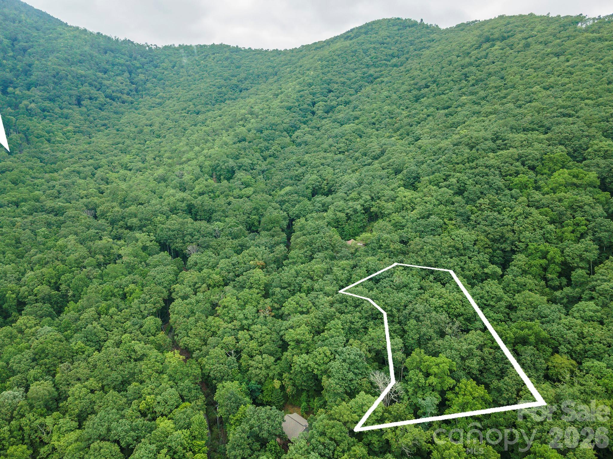 Tbd Summer Haven Road, Unit 16 Swannanoa, NC 28778 - Photo 45 of 45