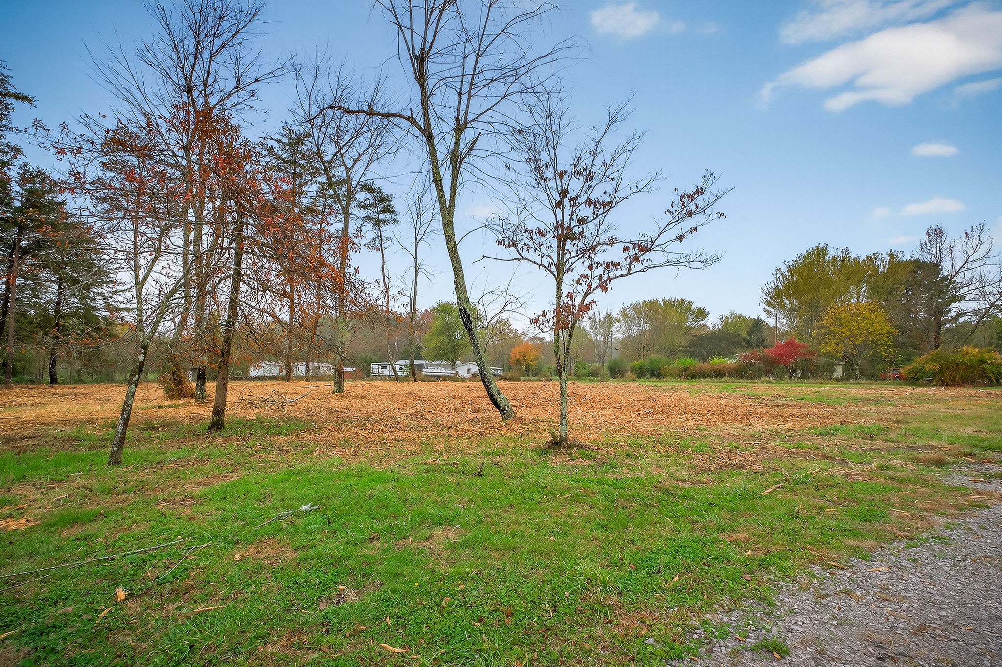 1193 Ashburn Road Monterey, TN 38574 - Photo 16 of 28 a view of a park with large trees