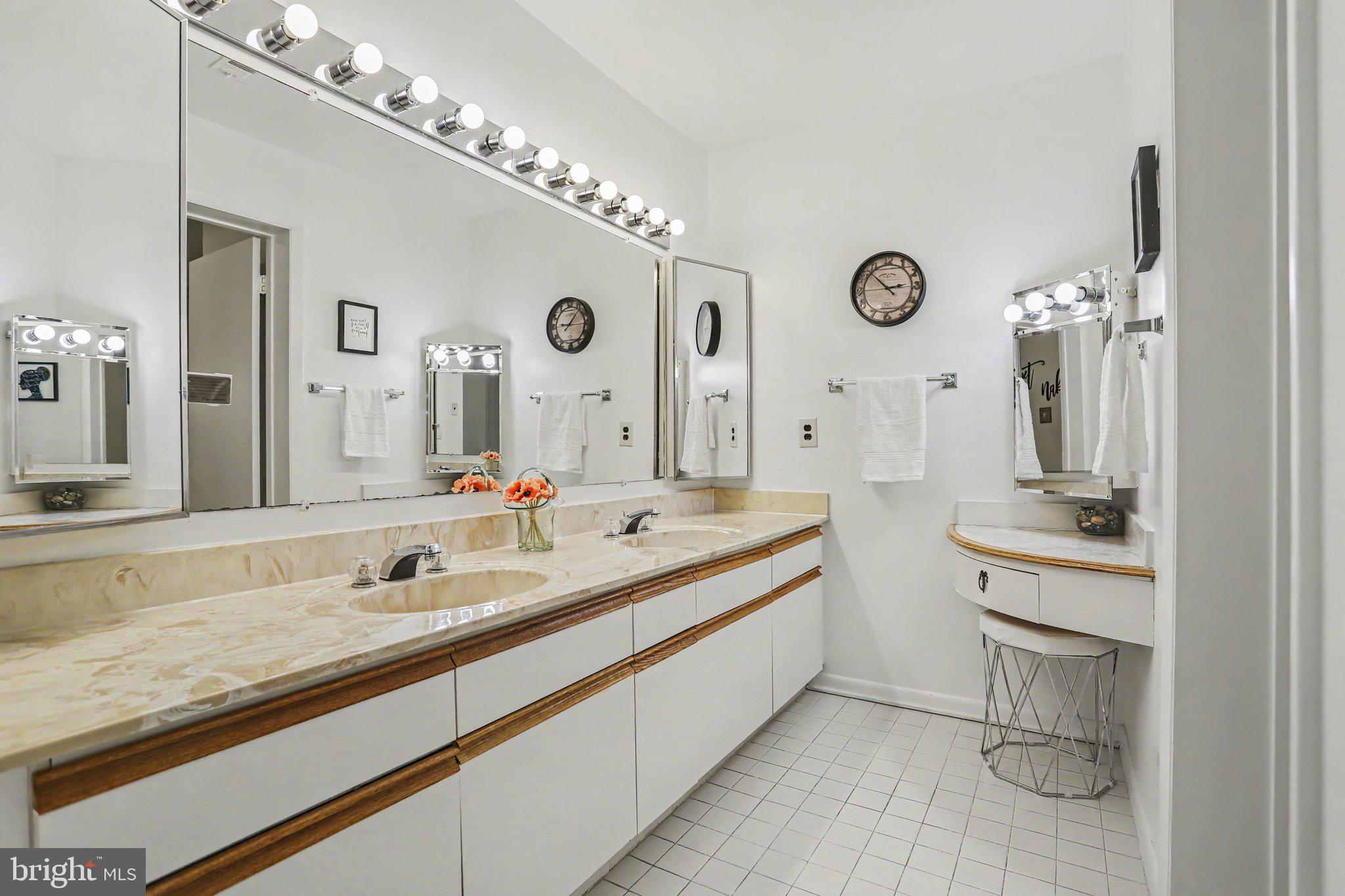 3041 Fallstaff Road, Unit 505D Baltimore, MD 21209 - Photo 5 of 26 Primary Bathroom