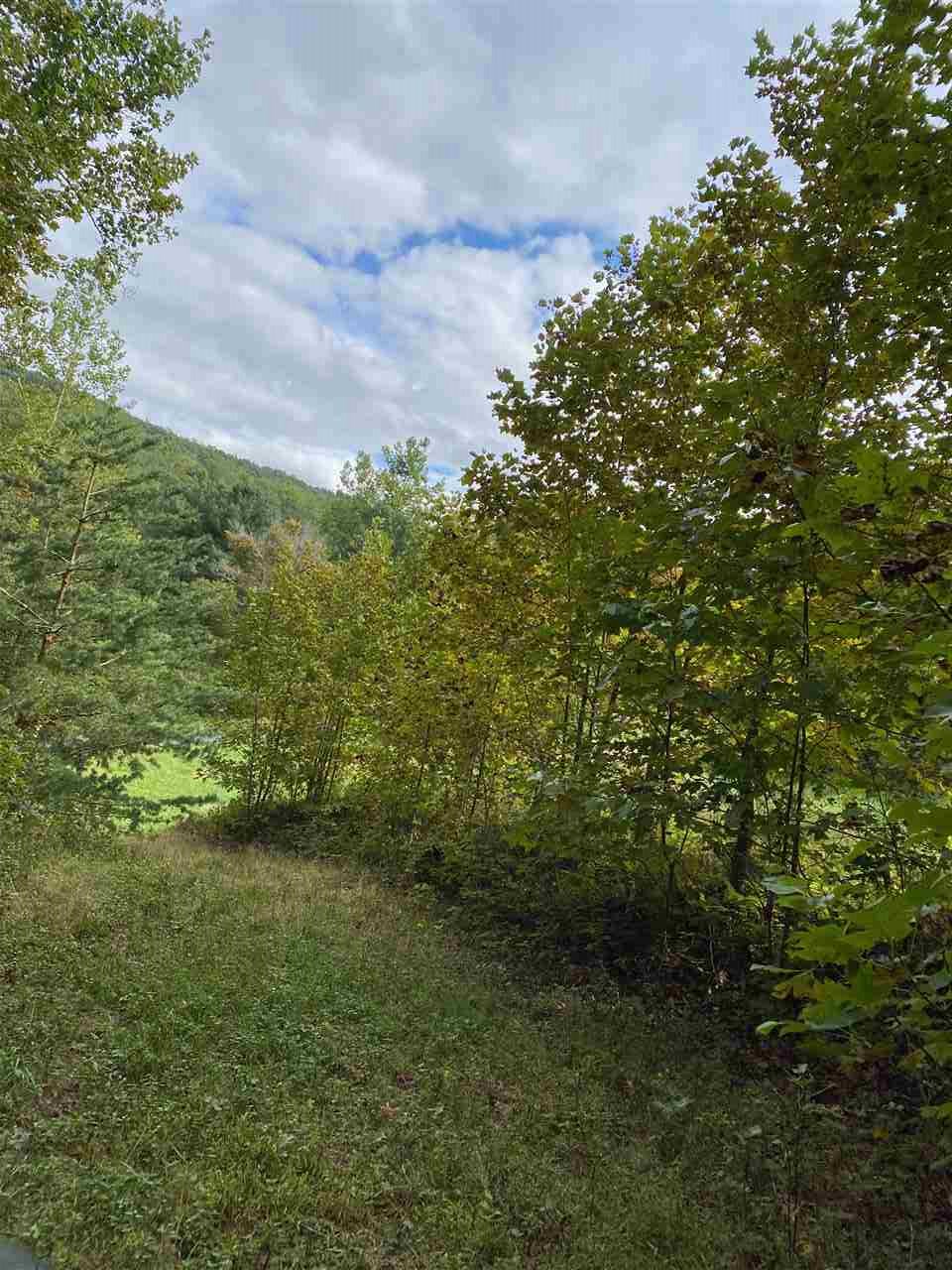 0 Hollow Run Road Luray, VA 22835 - Photo 3 of 7 Gallery Image 3