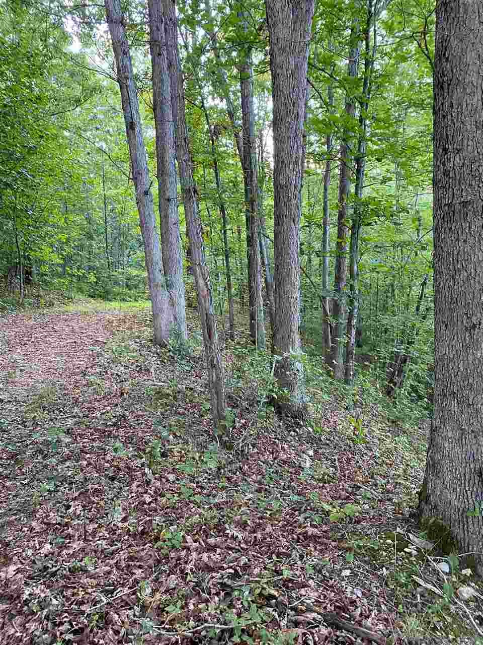 0 Hollow Run Road Luray, VA 22835 - Photo 5 of 7 Gallery Image 5