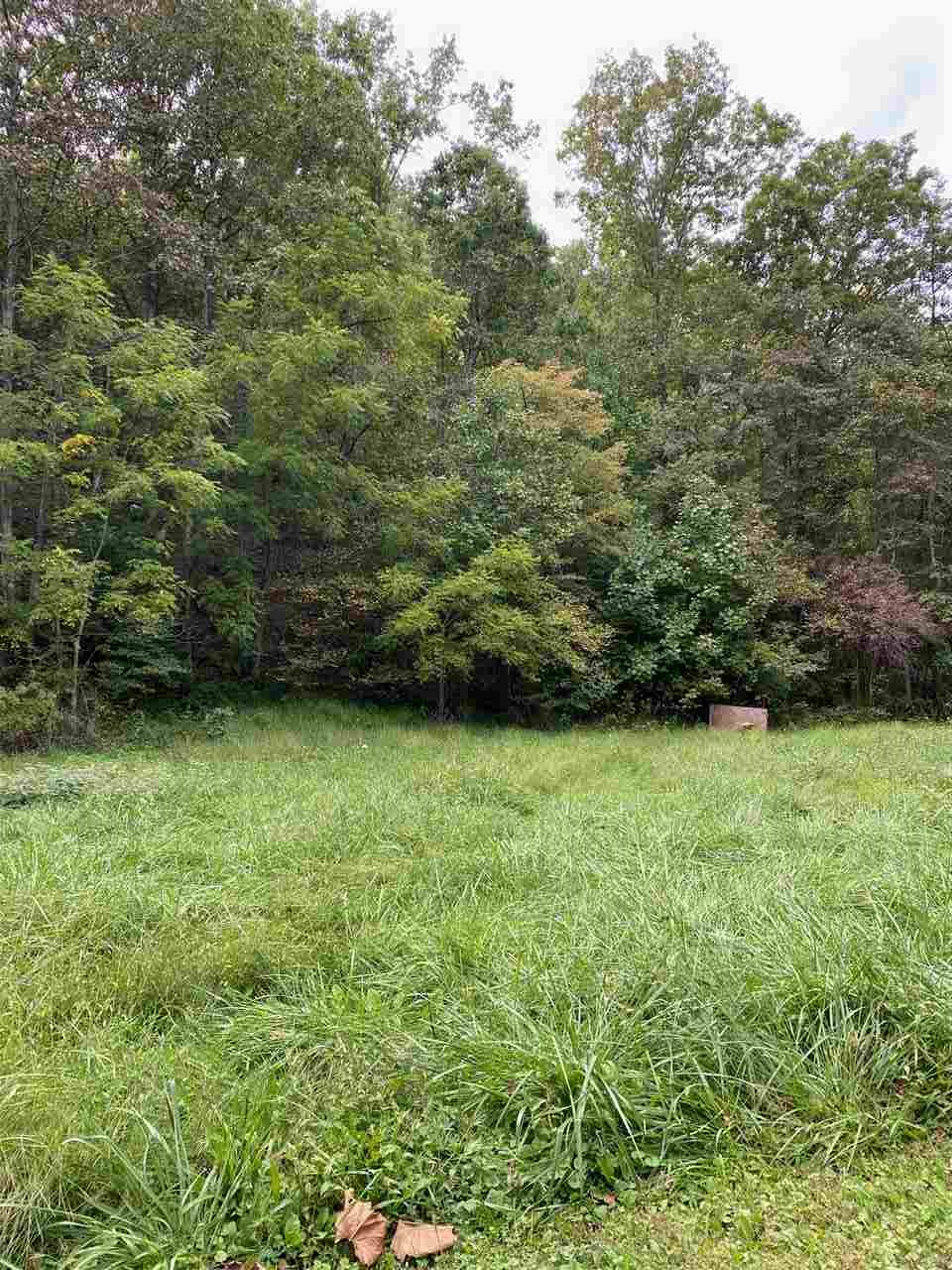 0 Hollow Run Road Luray, VA 22835 - Photo 6 of 7 Gallery Image 6