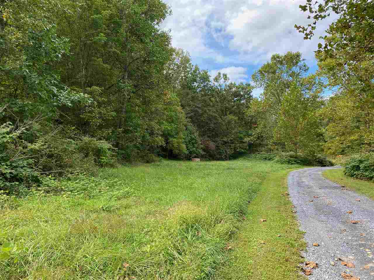 0 Hollow Run Road Luray, VA 22835 - Photo 7 of 7 Gallery Image 7